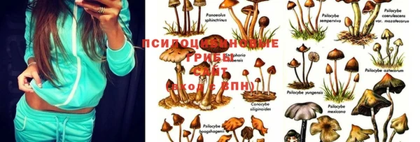 каннабис Абдулино