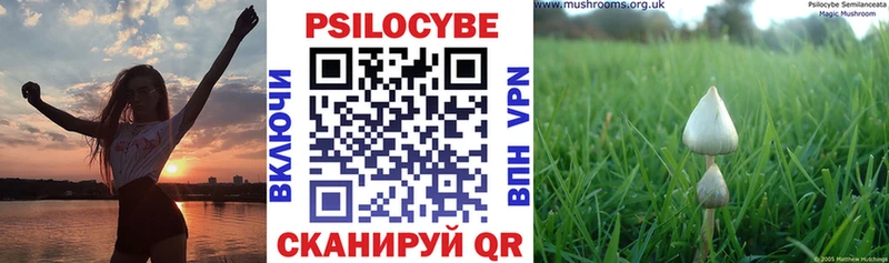 Галлюциногенные грибы мухоморы  что такое наркотик  OMG ссылки  Полярный 